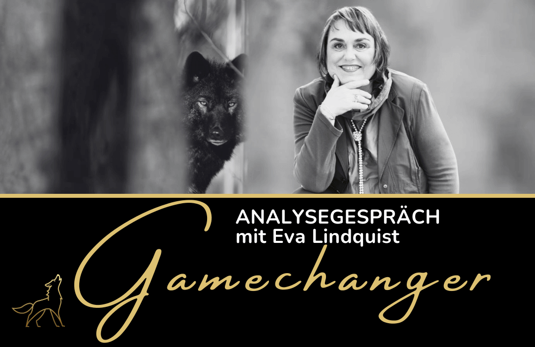 Analysegespräch
